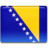 Bosnian Flag